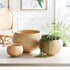 CANE RATTAN PLANT BASKETS, SET OF 3 - view 2