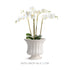 Coletta Petite Flared Vase - View 5