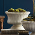 COLETTA DECORATIVE FOOTED BOWL - view 3