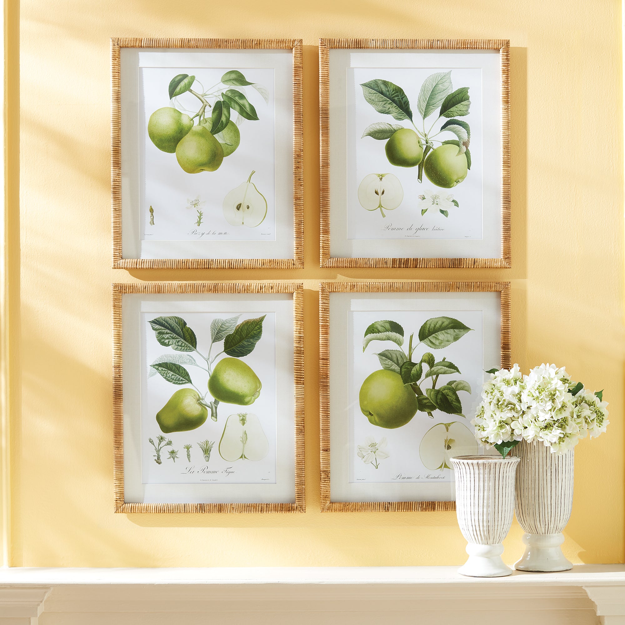 FRUIT STUDY, SET OF 4 - view 3