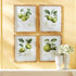FRUIT STUDY, SET OF 4 - view 3