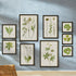 FOLIAGE PRINTS, SET OF 9 - view 4