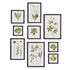 Foliage Prints, Set Of 9