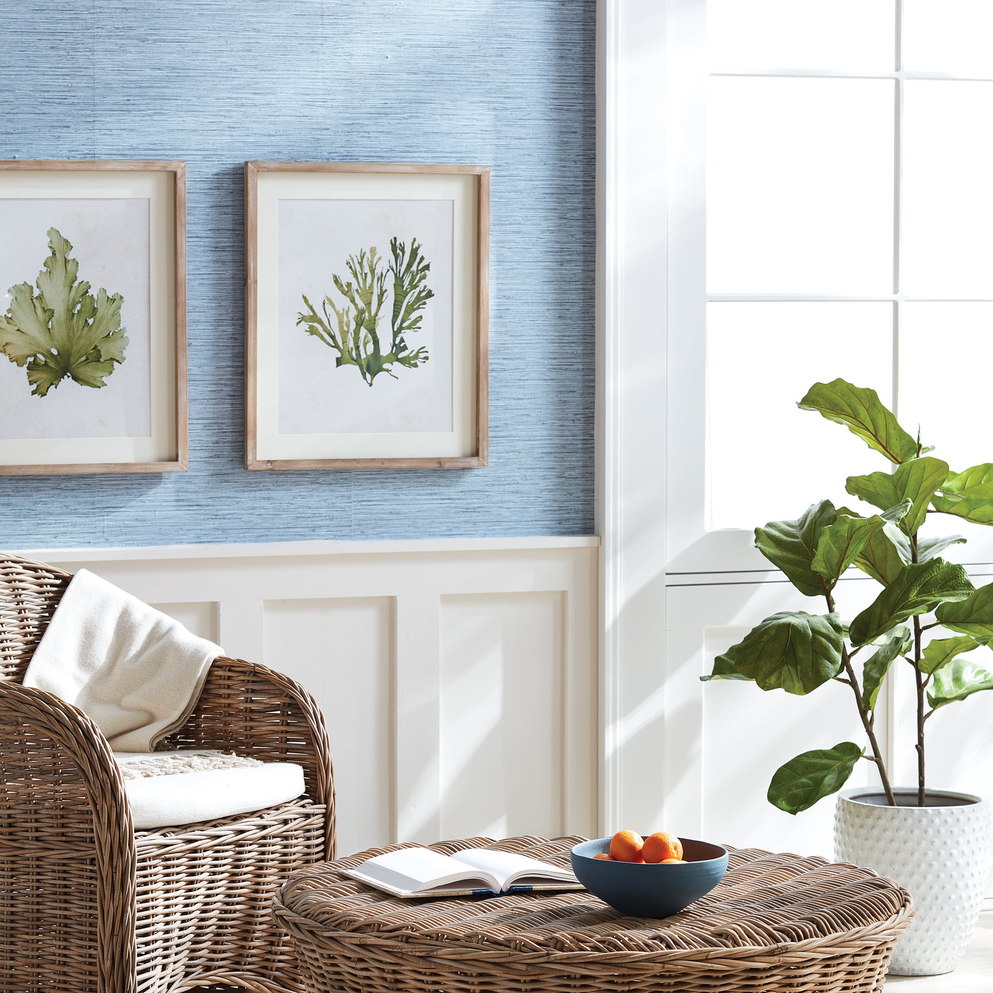 Kelp Prints, Set Of 6 - View 5