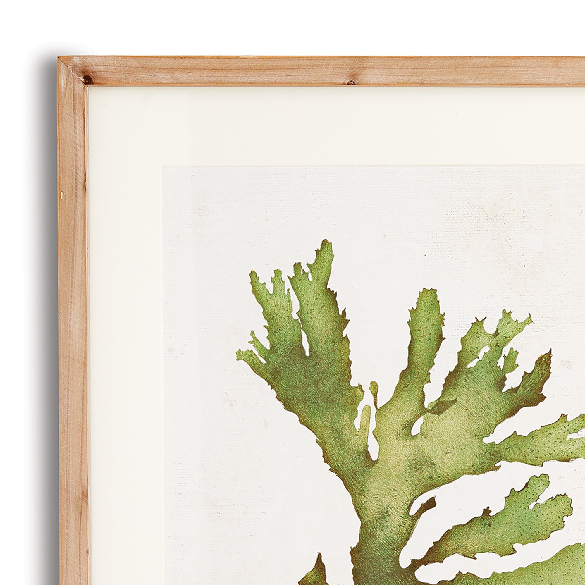 KELP PRINTS, SET OF 6 - view 2