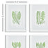 ASSORTED LEAF PRINTS, SET OF 4 - view 2