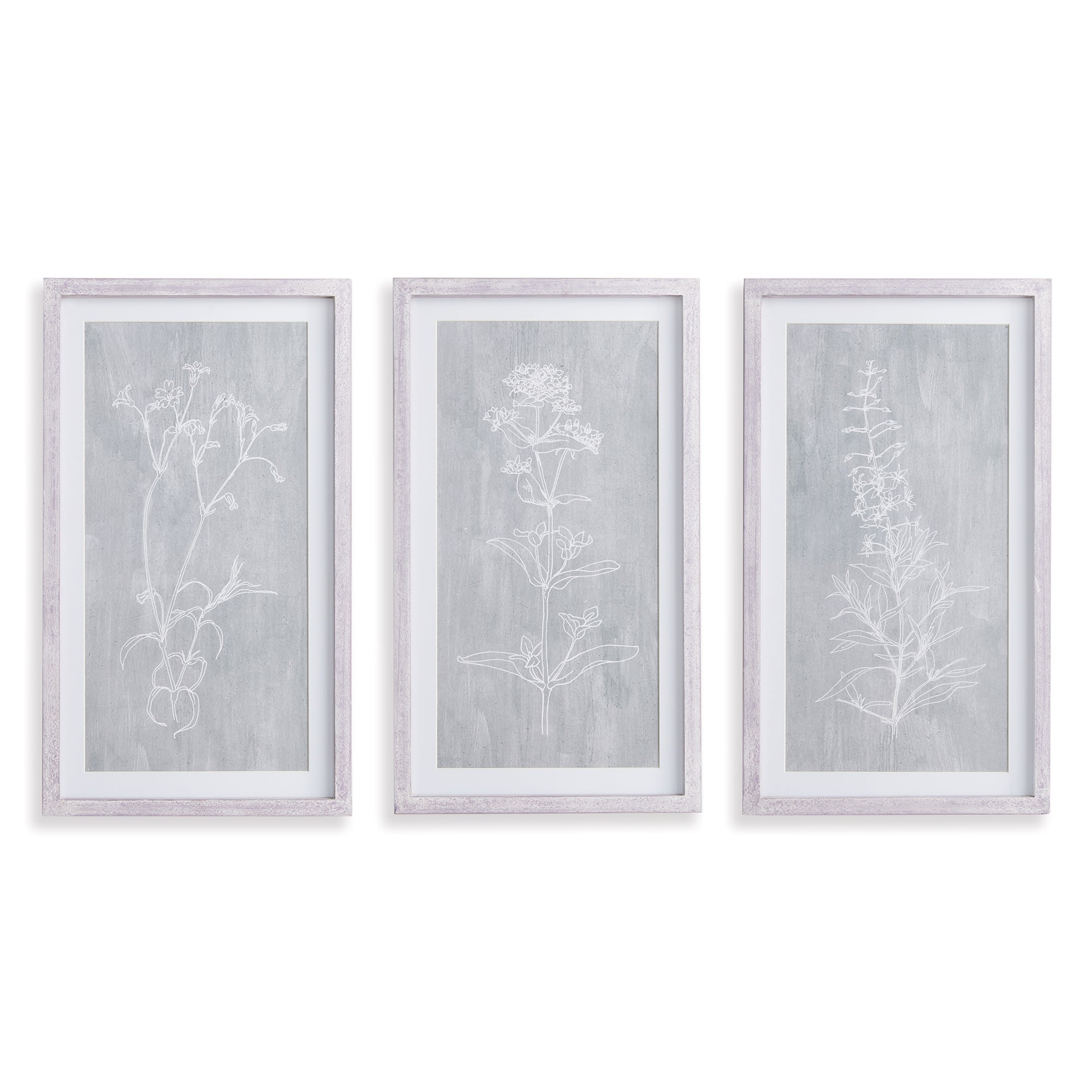 SKETCHED BOTANICAL PRINTS, SET OF 3 BY NAPA HOME & GARDEN