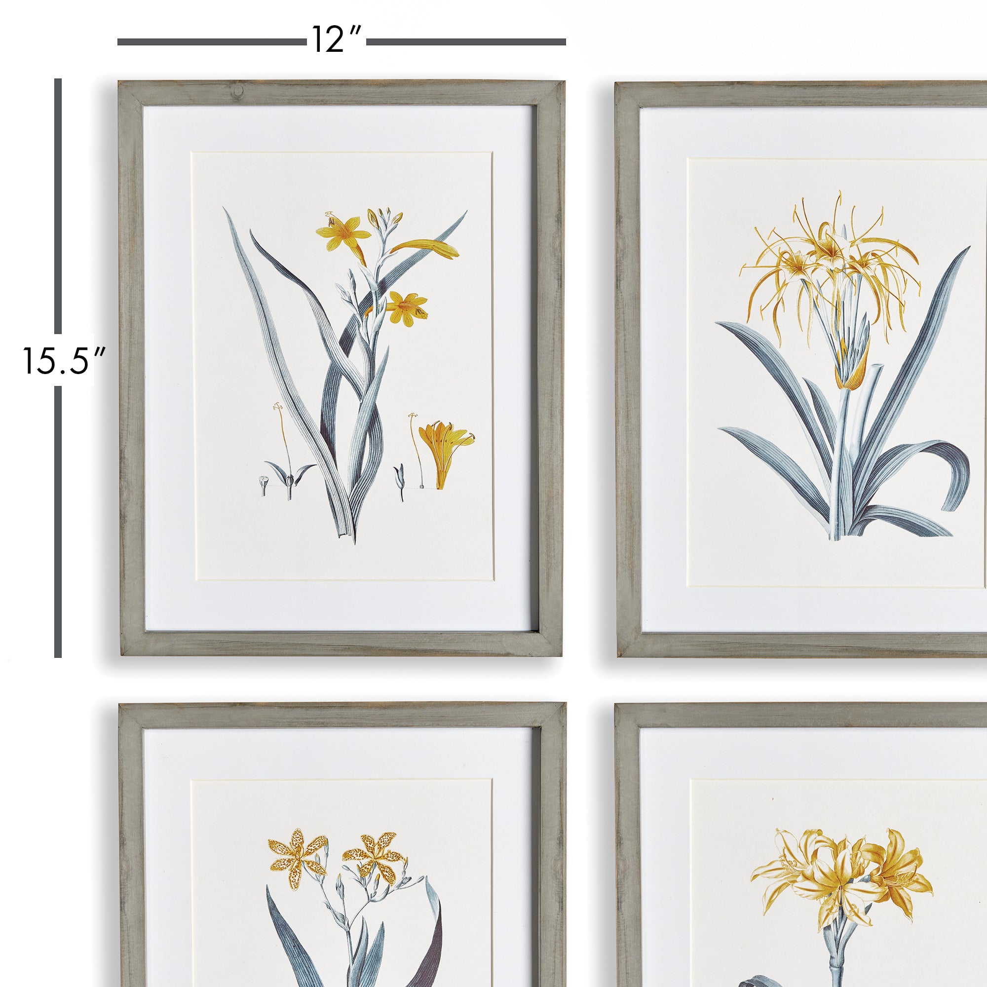 DAFFODIL PRINTS, SET OF 4 - view 2