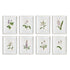 Flowers In Bloom Petite Prints, Set Of 8