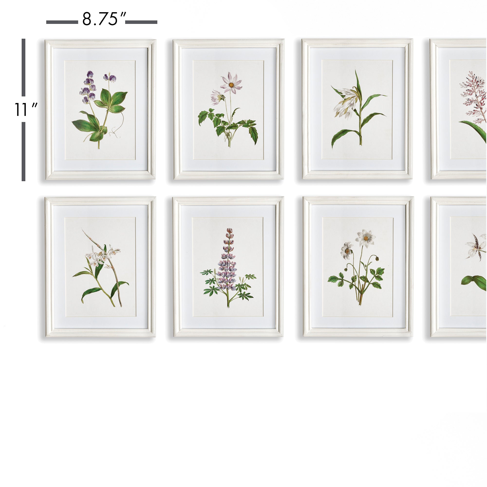 Flowers In Bloom Petite Prints, Set Of 8 - View 2