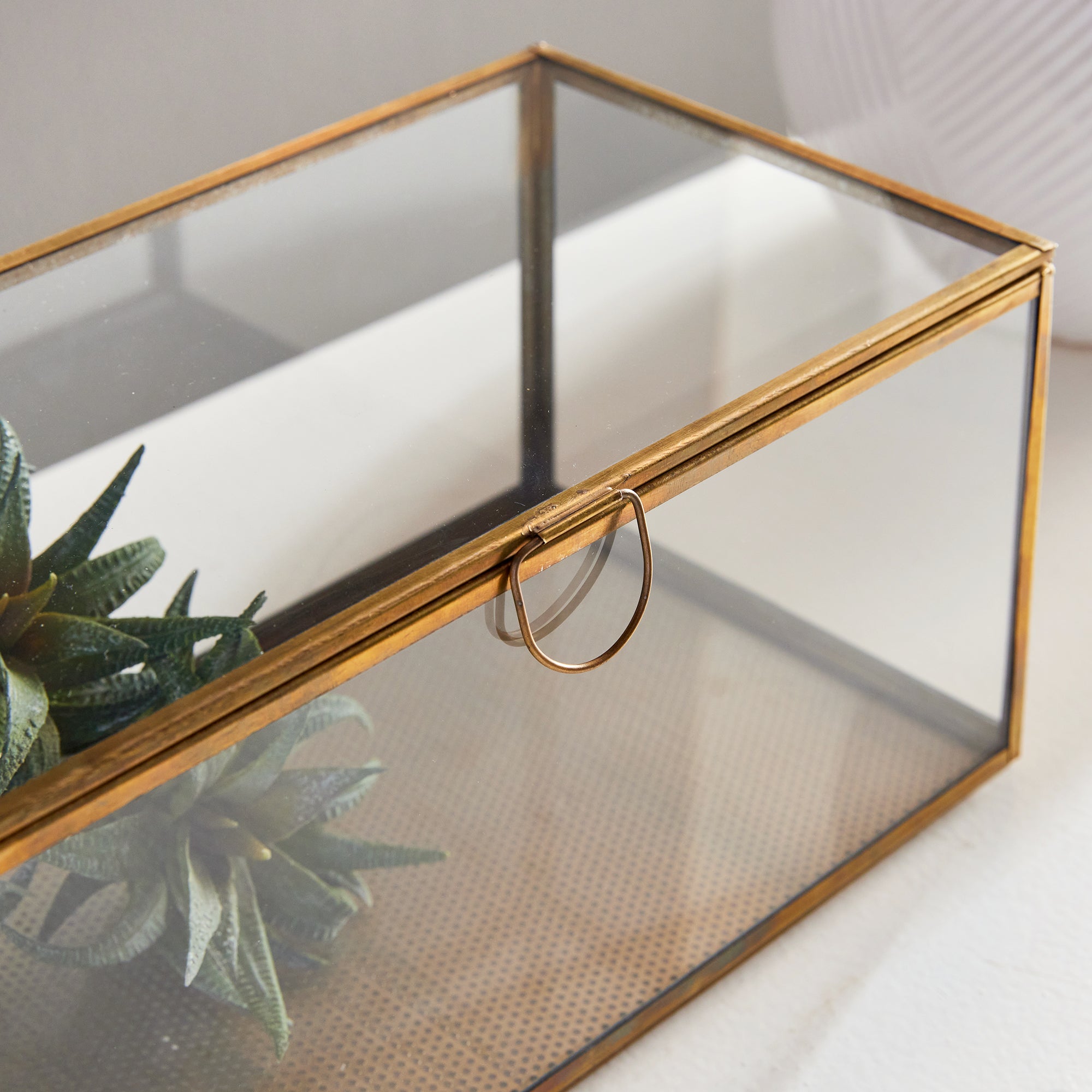 ARWEN RECTANGULAR DISPLAY BOX - view 5