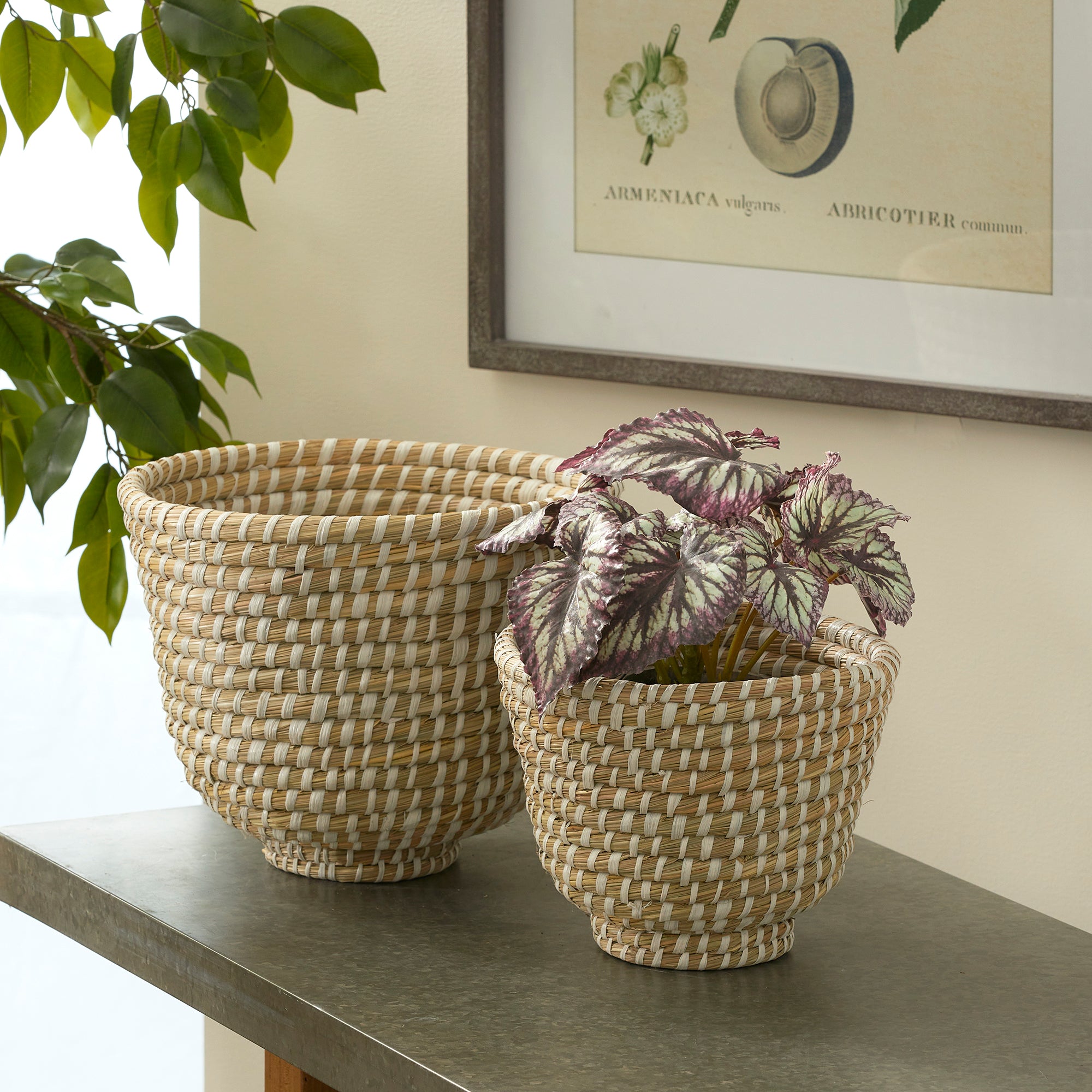 RIVERGRASS DECORATIVE FOOTED BOWLS, SET OF 2 - view 2