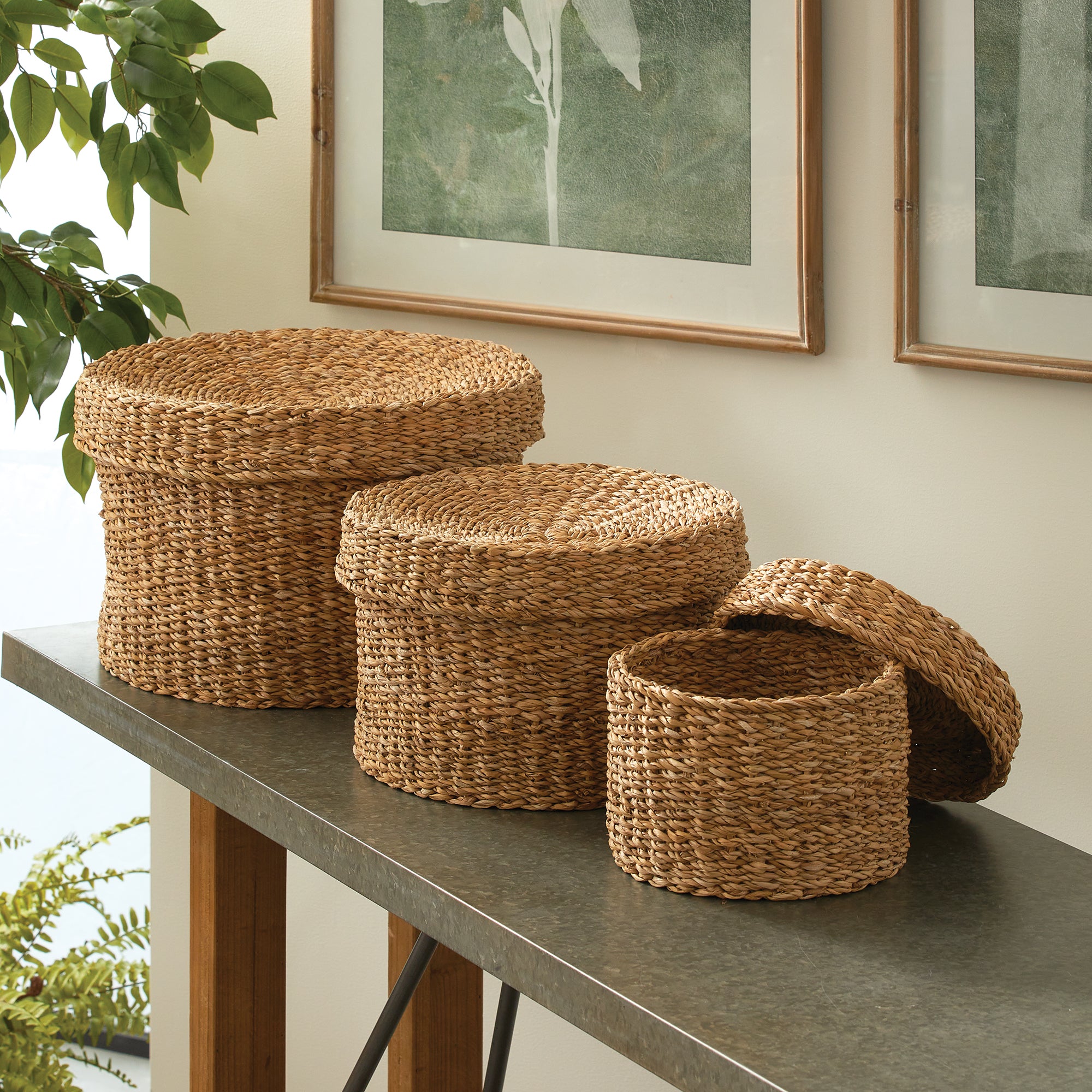 SEAGRASS ROUND LIDDED BASKETS, SET OF 3 - view 4