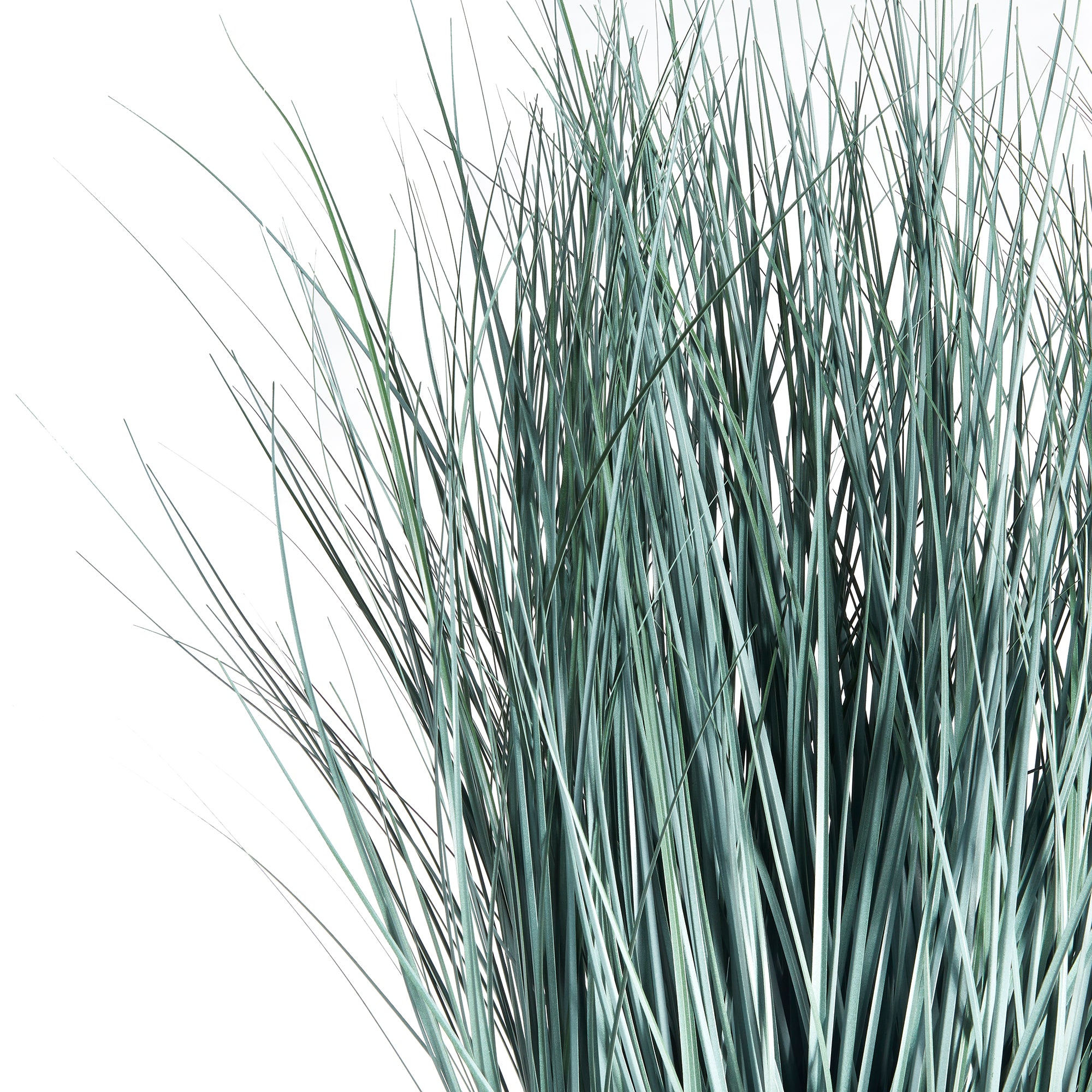 BLUE OAT GRASS DROP-IN 32" - view 3