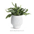 LARSON CACHEPOT - view 5