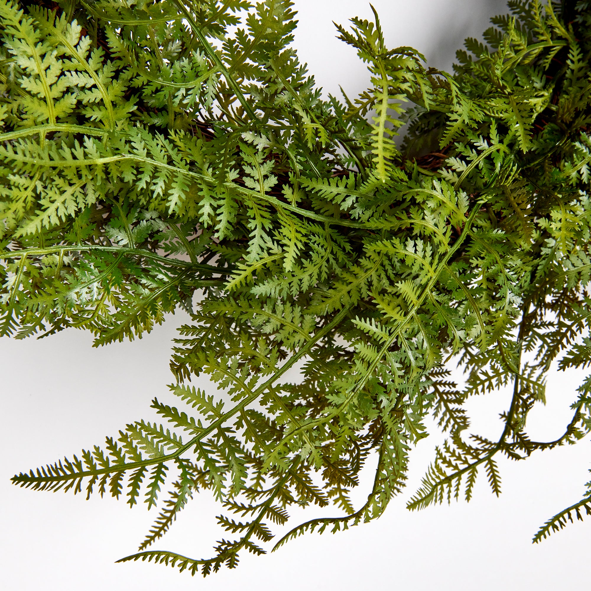Fern Wreath 18" - View 3