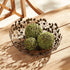 Willow Decorative Bowl - View 4