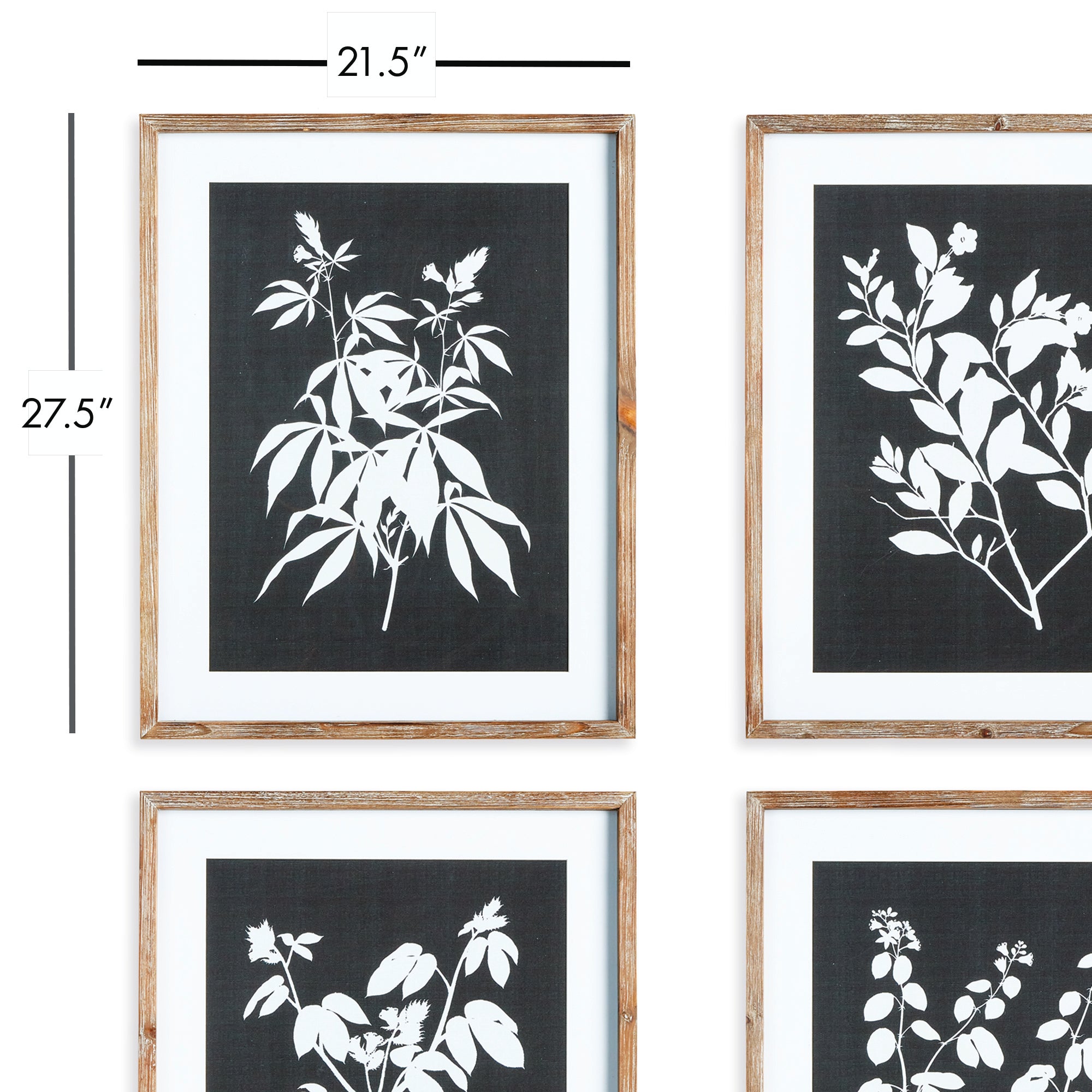 Monochrome Botanical Prints, Set Of 4 - View 3