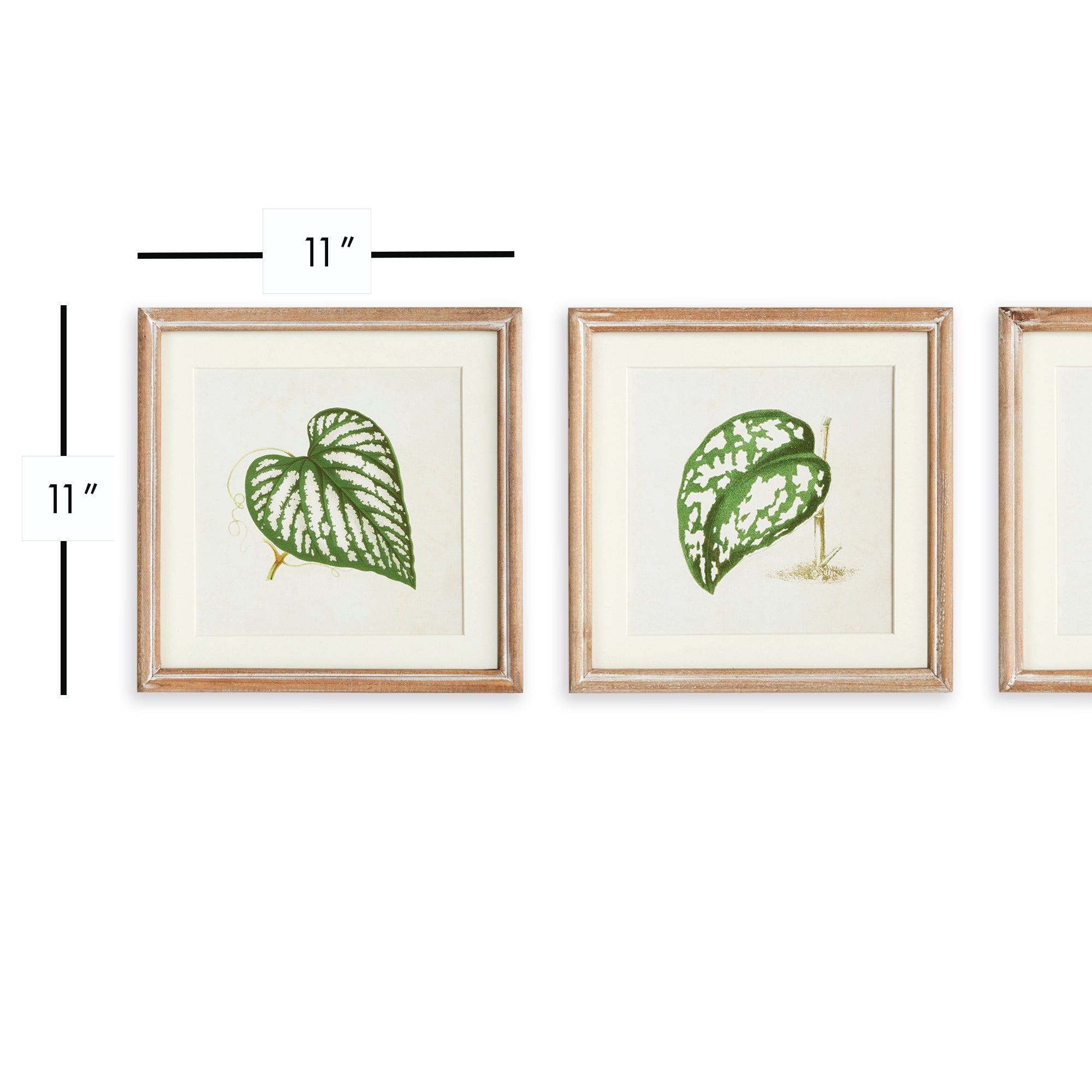LEAF CUTTINGS PETITE PRINTS, SET OF 3 - view 3