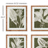 TRANSLUCENT STEM PRINTS, SET OF 4 - view 3