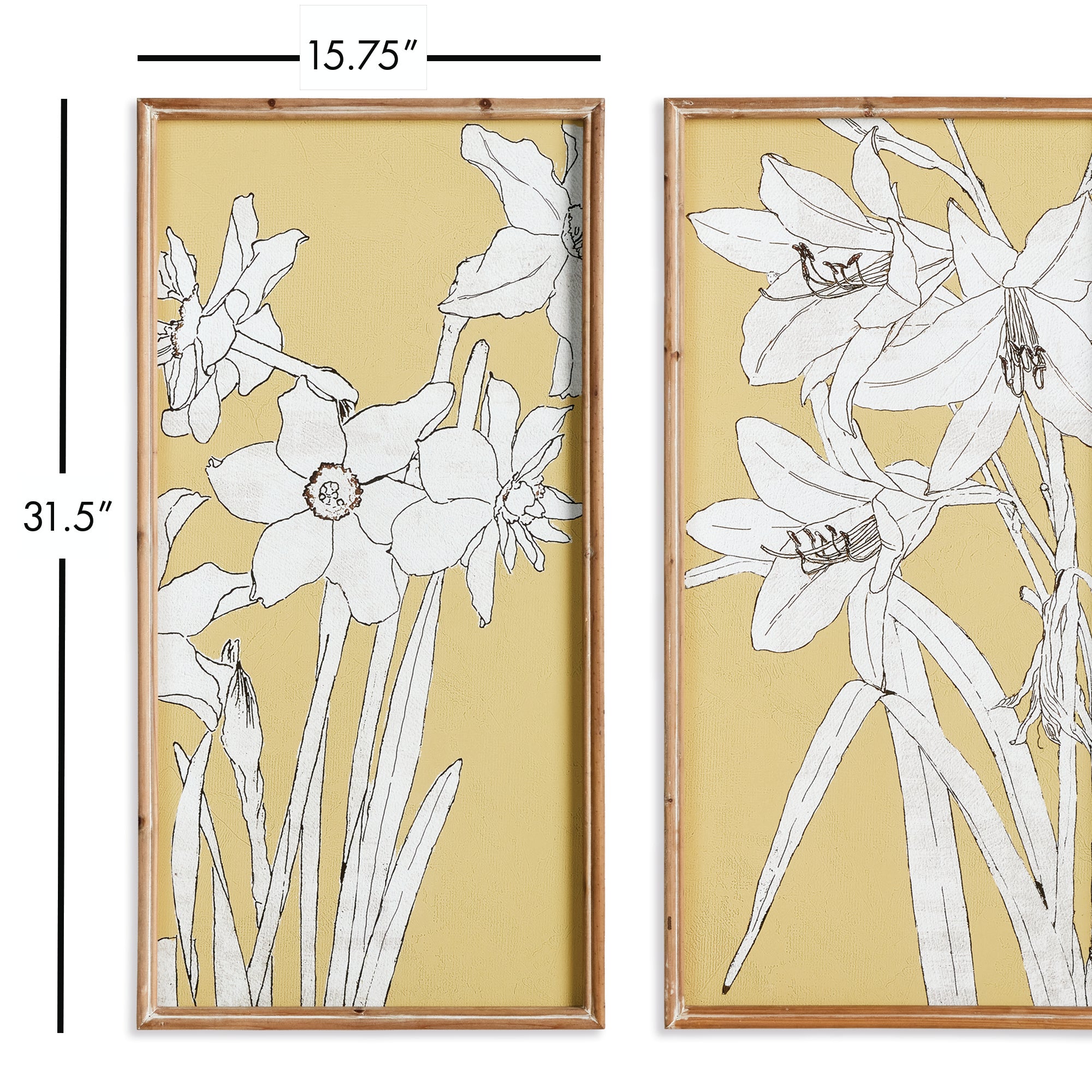Flowering Amaryllis Prints, Set Of 2 - View 3