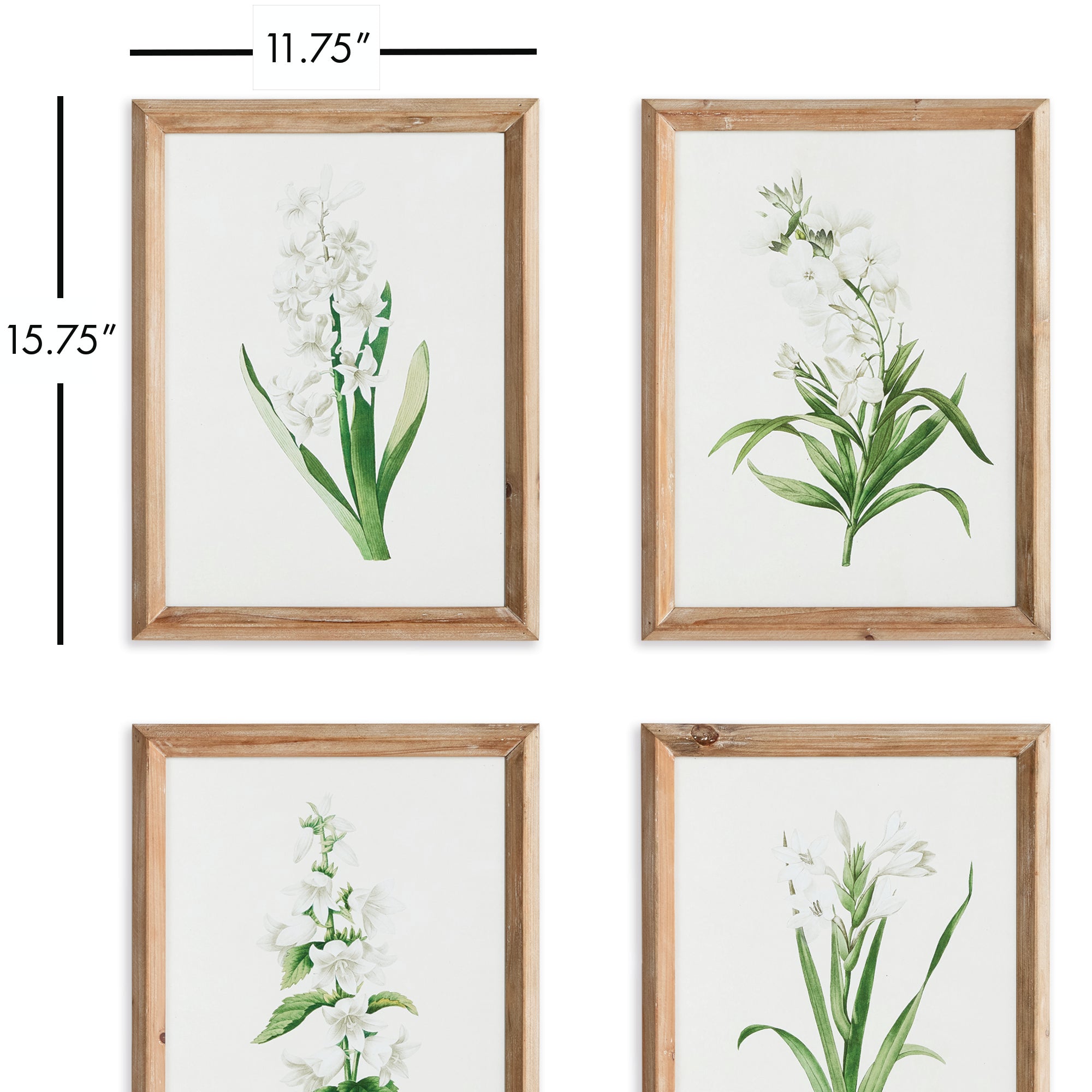 Garden Bloom Prints, Set Of 4 - View 3