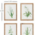 Garden Bloom Prints, Set Of 4 - View 3