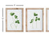 Clover Cuttings Petite Prints, Set Of 3 - View 2