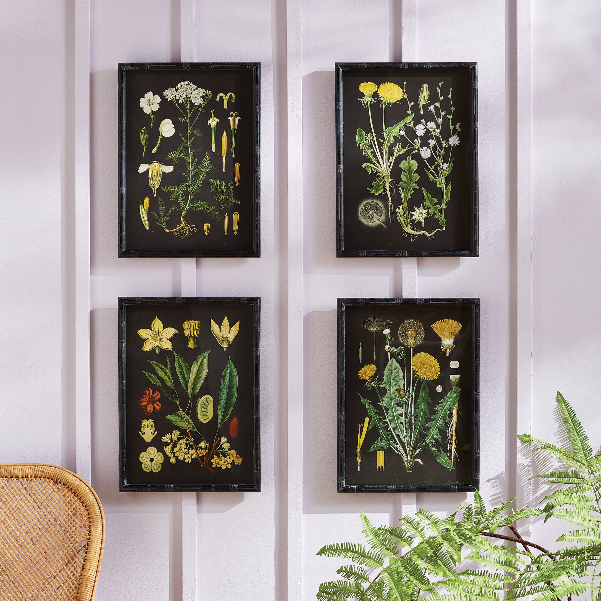 GOLDEN BOTANICAL STUDY, SET OF 4 - view 2