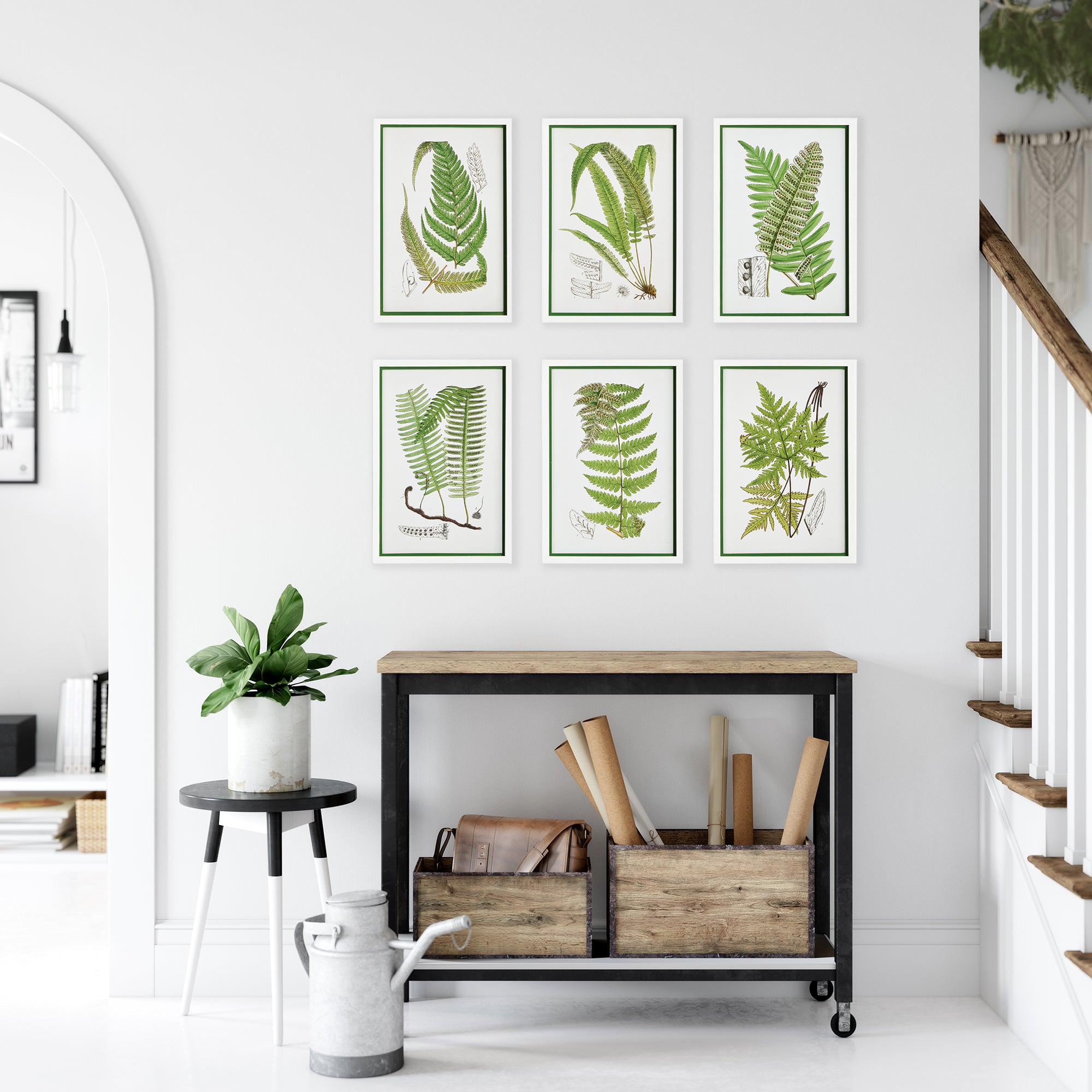 Layered Fern Prints, Set Of 6 - View 5