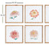 COLORFUL CHRYSANTHEMUM PRINTS, SET OF 6 - view 2