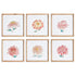 Colorful Chrysanthemum Prints, Set Of 6