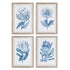 Indigo Protea Prints, Set Of 4