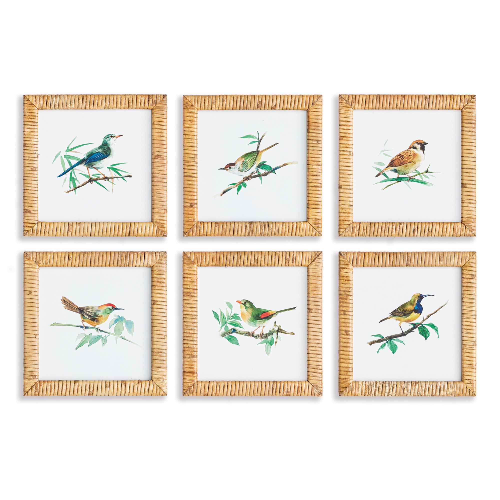 SONGBIRD PETITE PRINTS, SET OF 6 BY NAPA HOME & GARDEN