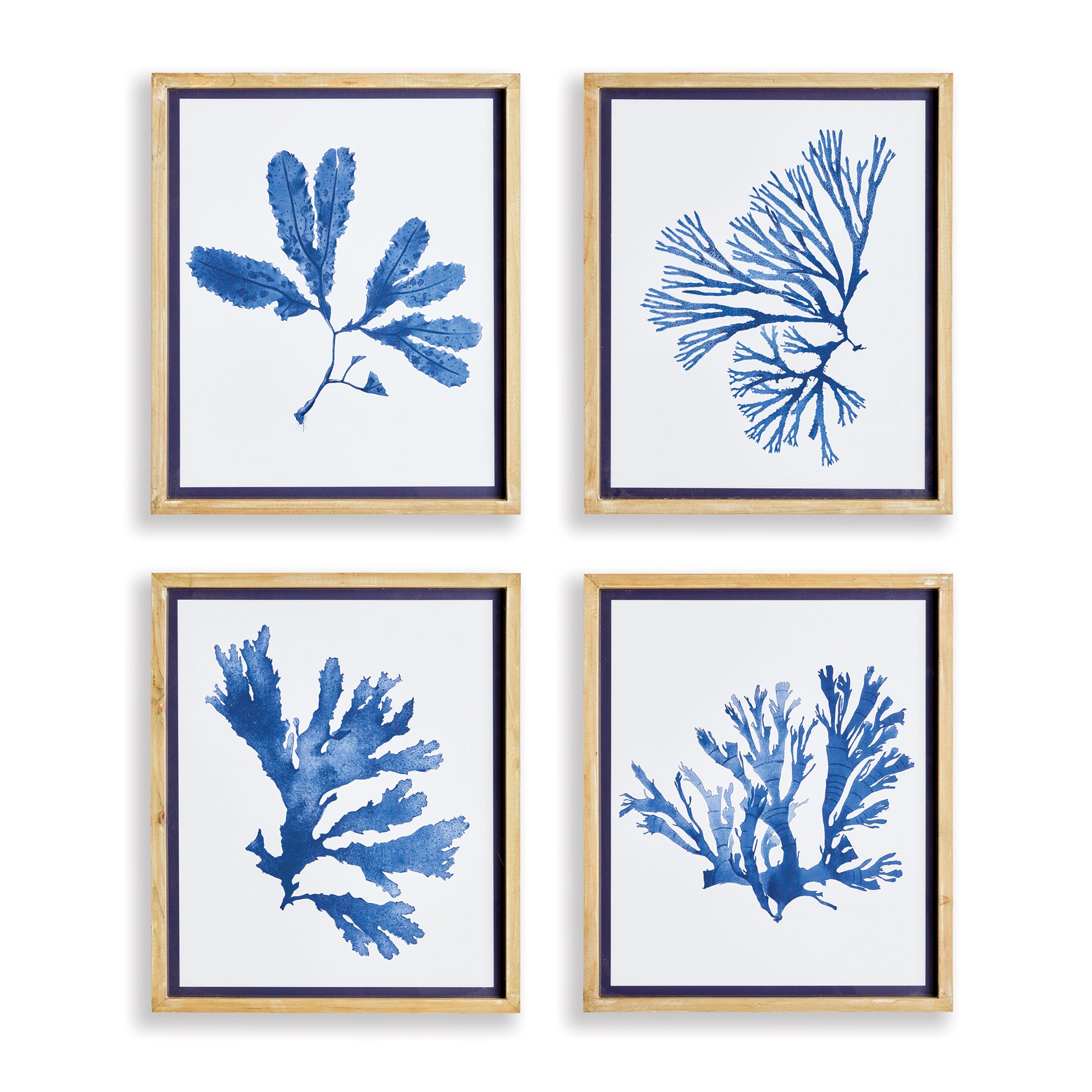 Indigo Seaweed Prints, Set Of 4