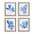Indigo Seaweed Prints, Set Of 4