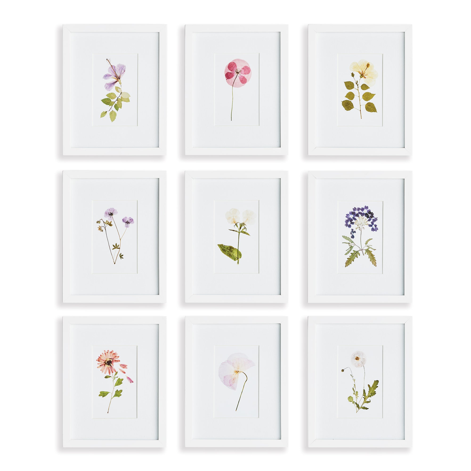 MOUNTAIN FLOWER PETITE PRINTS, SET OF 9 BY NAPA HOME & GARDEN