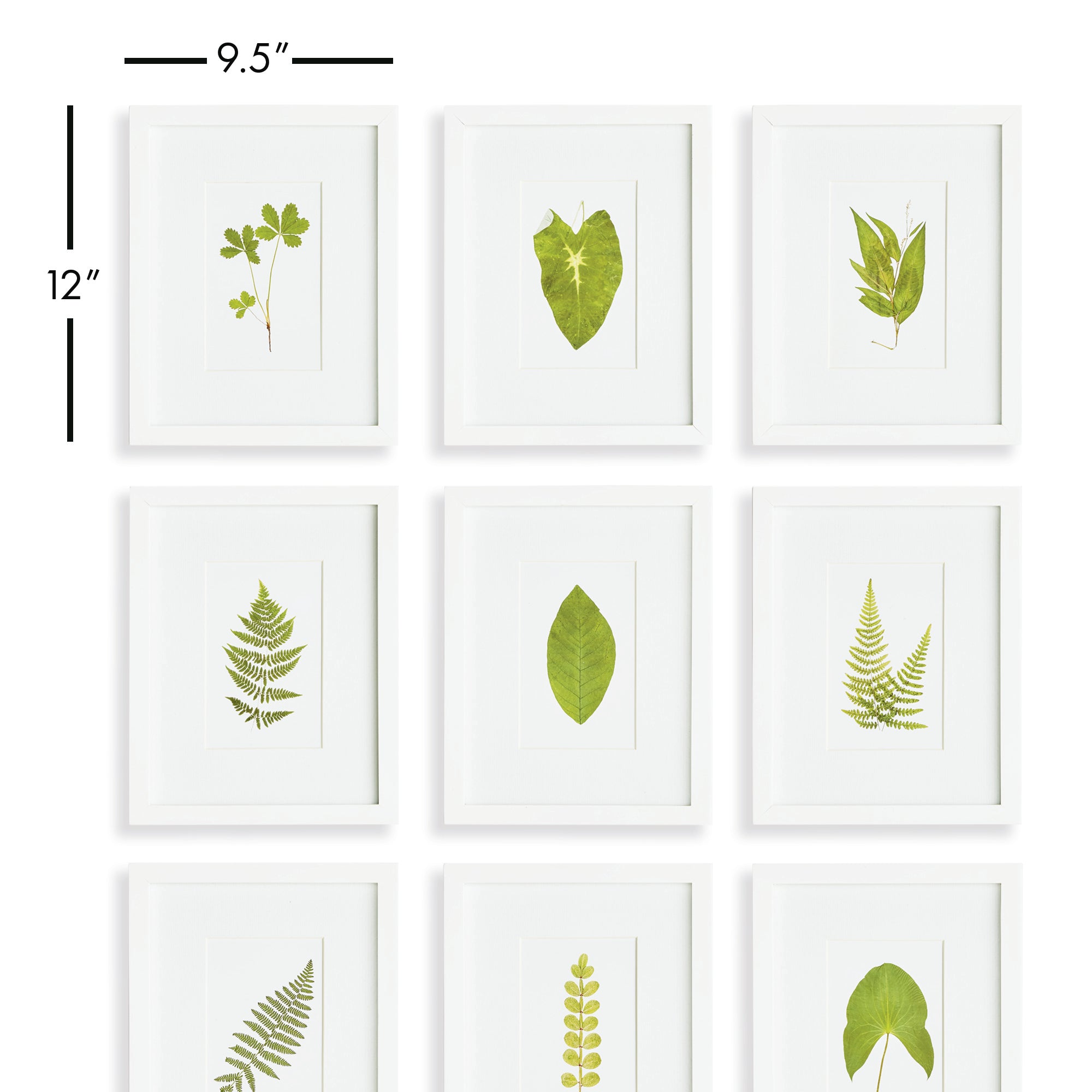 Green Leaf Petite Prints, Set Of 9 - View 2