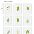 Green Leaf Petite Prints, Set Of 9 - View 2