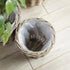 ARLETTE BASKETS, SET OF 3 - view 7