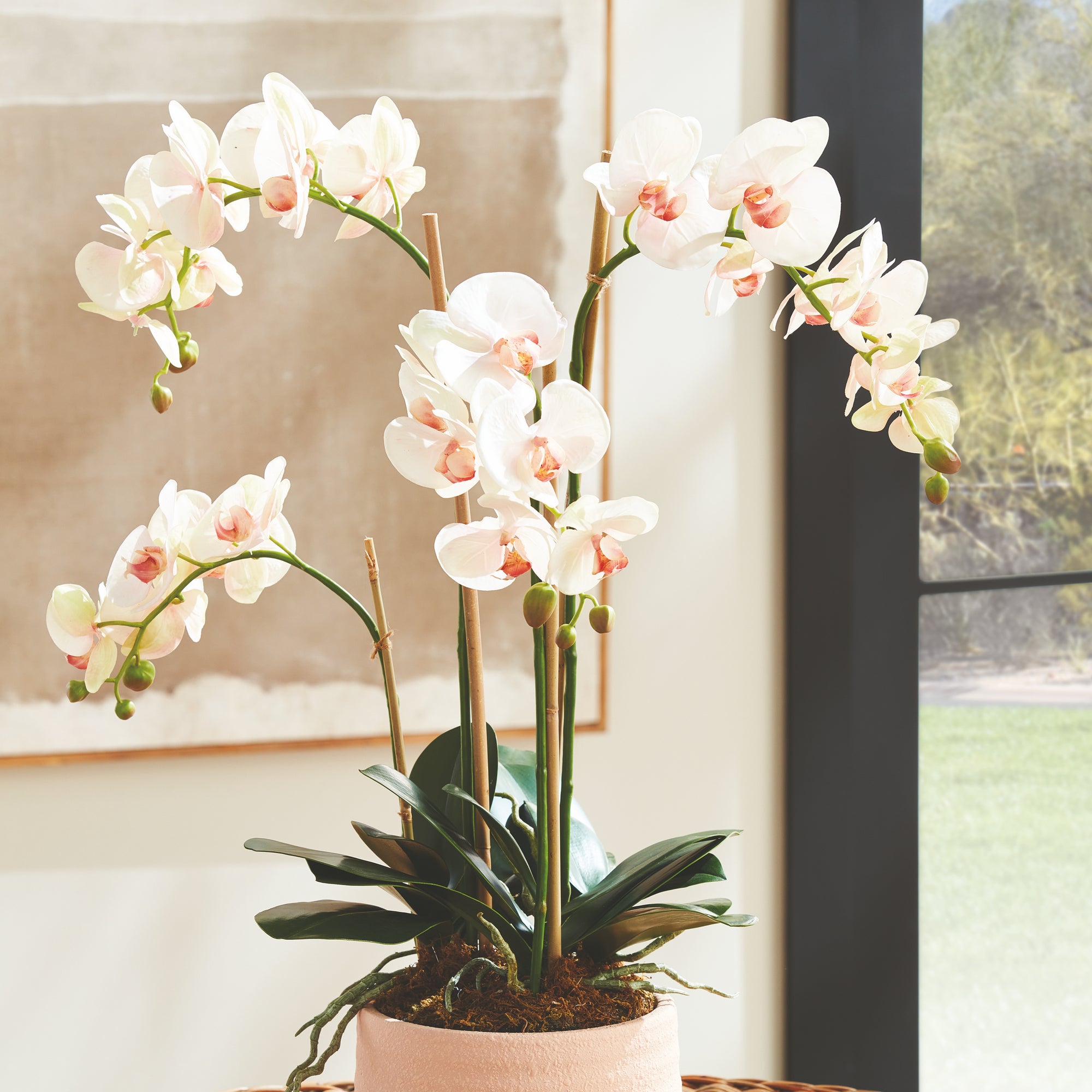 PHALAENOPSIS ORCHID DROP-IN 30" - view 4