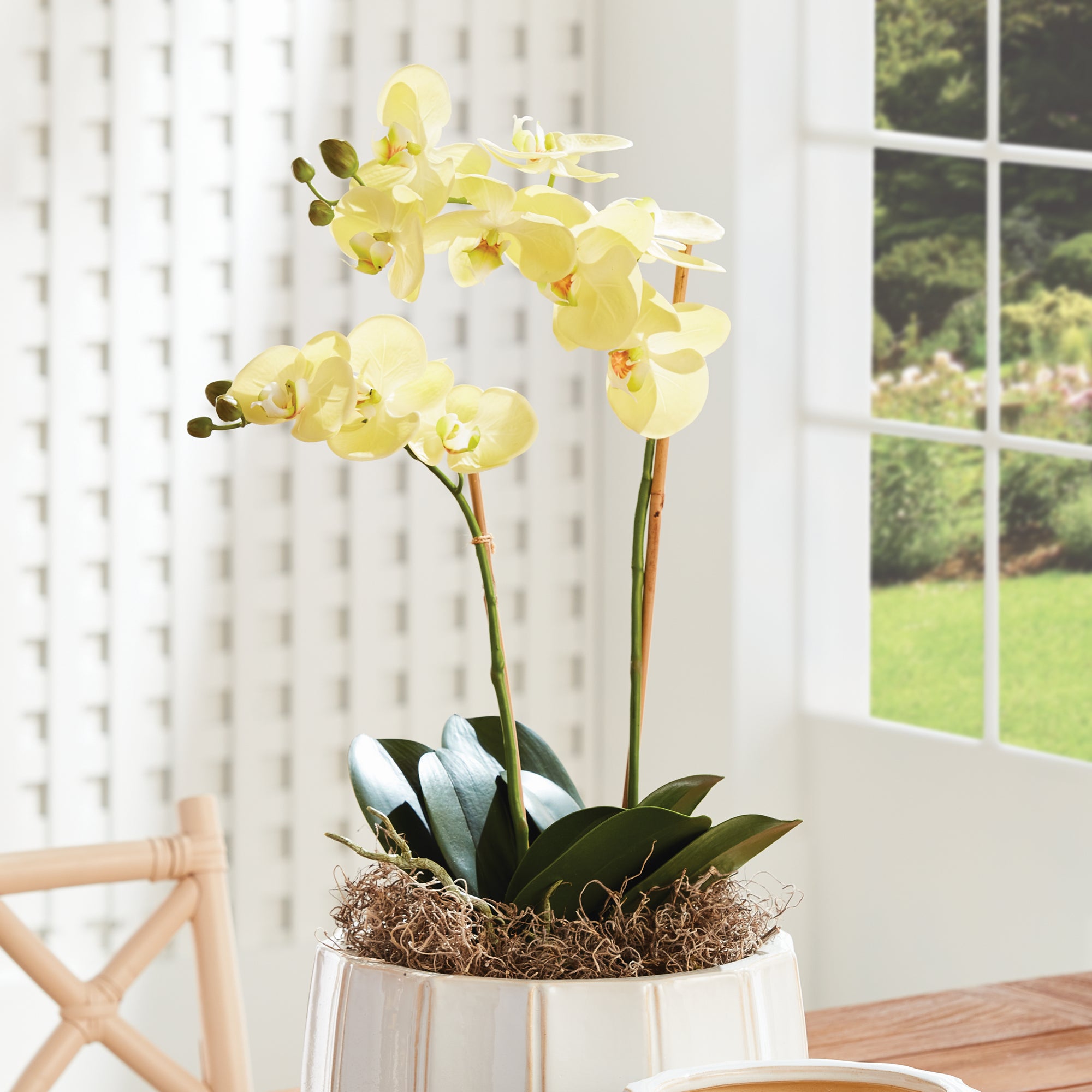 PHALAENOPSIS ORCHID DROP-IN 23" - view 4