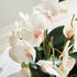 Phalaenopsis Orchid Bowl Drop-In 18.5" - View 6