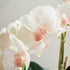 PHALAENOPSIS ORCHID BOWL DROP-IN 18.5" - view 8