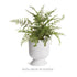 ISADORA FOOTED URN LARGE - view 7