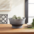CEDRIC DECORATIVE FOOTED BOWL - view 4