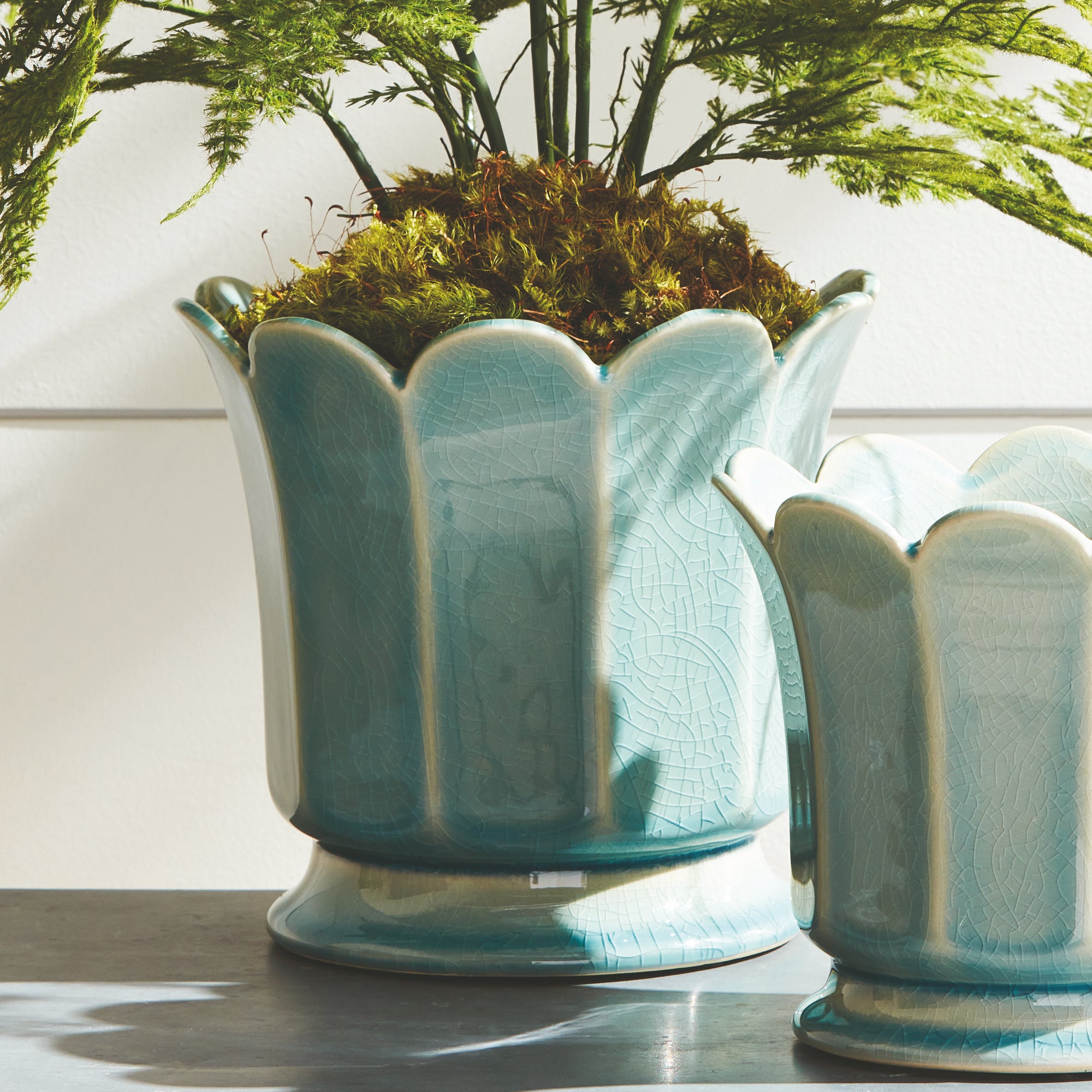 PLUMOSA FERN DROP-IN 21" - view 4
