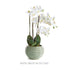 Avani Pot Large - View 4