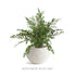 Avani Pot Large - View 6