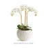 Avani Pot Large - View 8